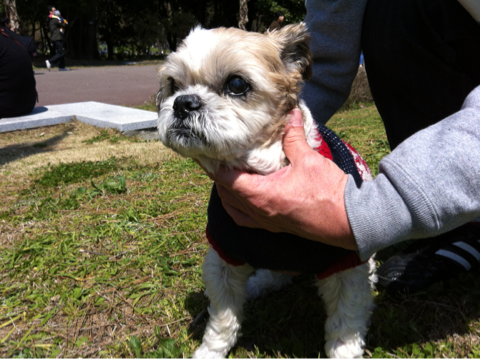 image-20120409135416.png