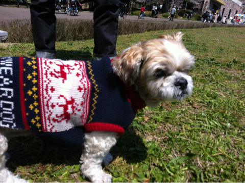 image-20120409135704.png