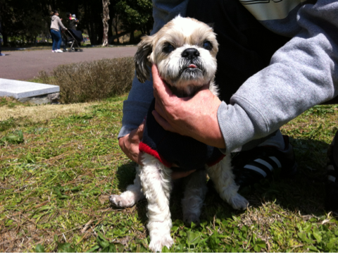 image-20120409140121.png
